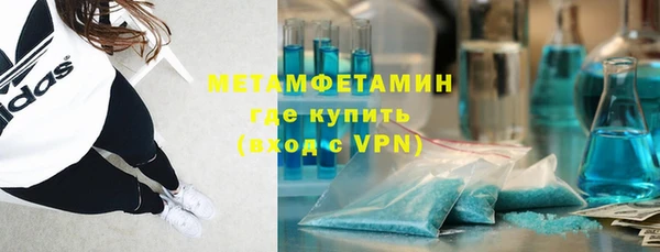индика Алексин