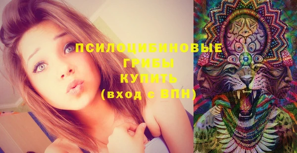 эйфоретик Абаза