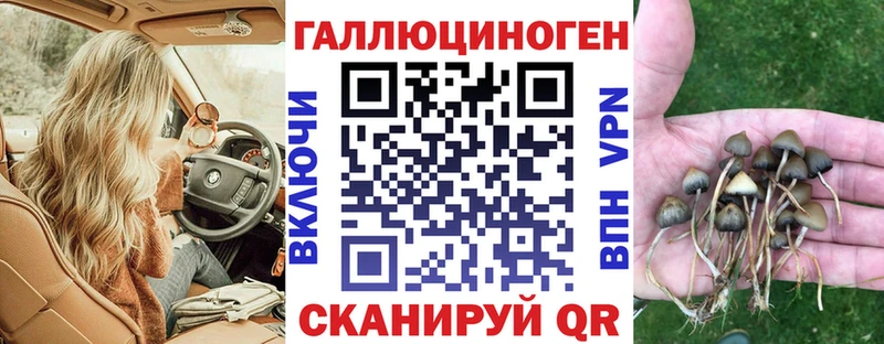 наркошоп  Вытегра  Галлюциногенные грибы мухоморы 