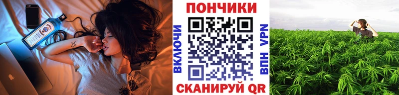 магазин продажи наркотиков  маркетплейс как зайти  Каннабис Bruce Banner  Вытегра 